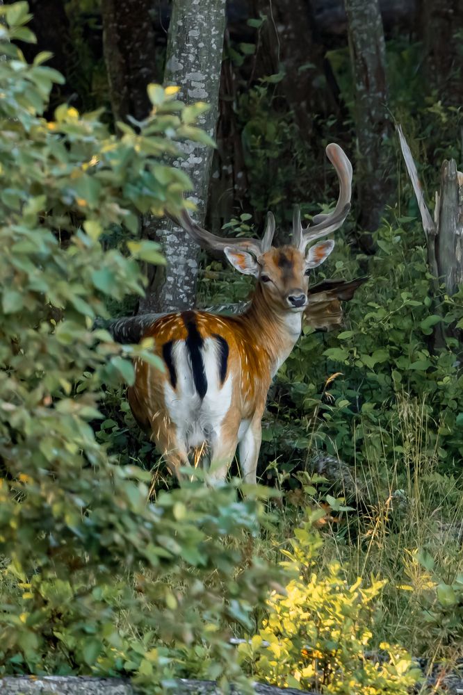 Photograph by Алексей Горин