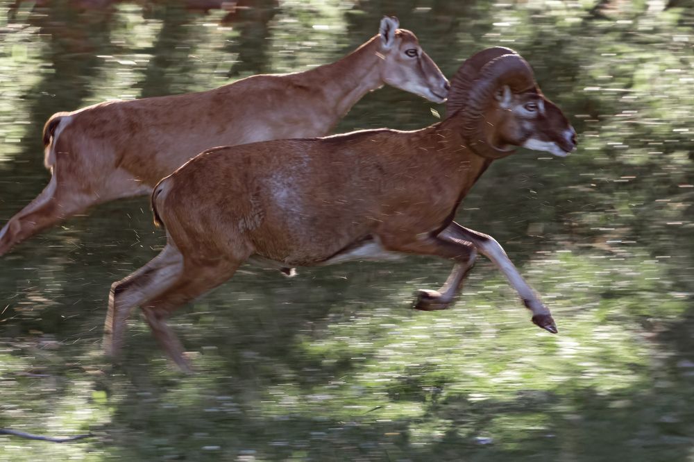 Photograph by Алексей Горин