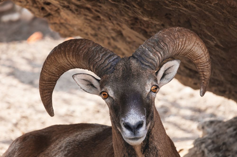 Photograph by Алексей Горин