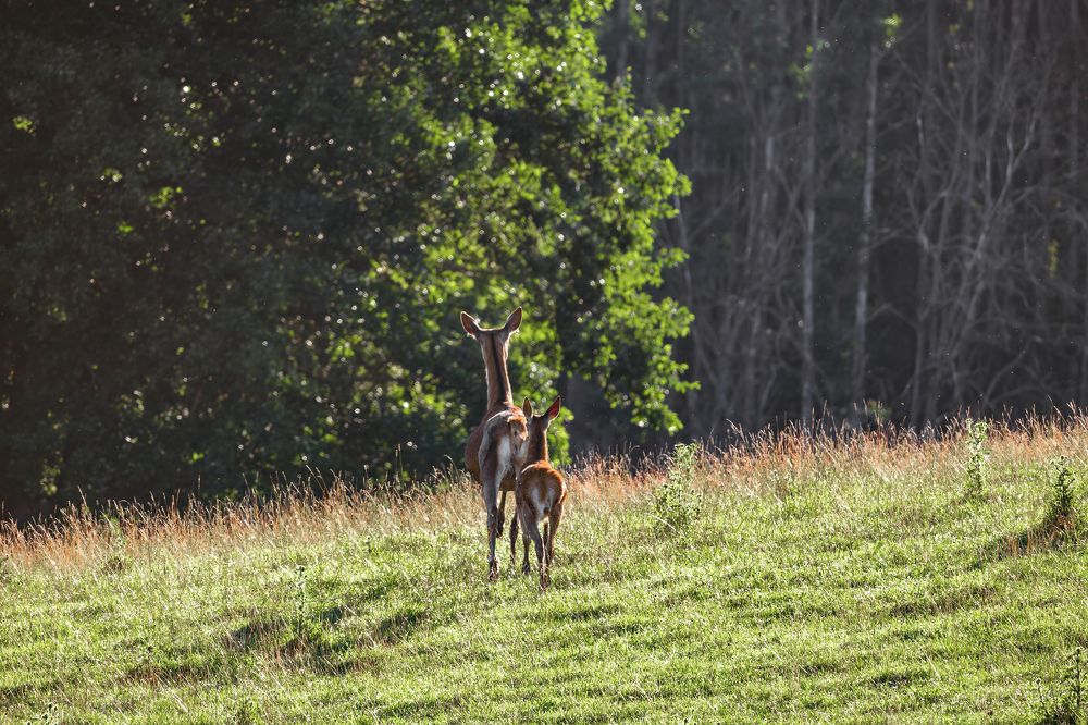Photograph by Алексей Горин