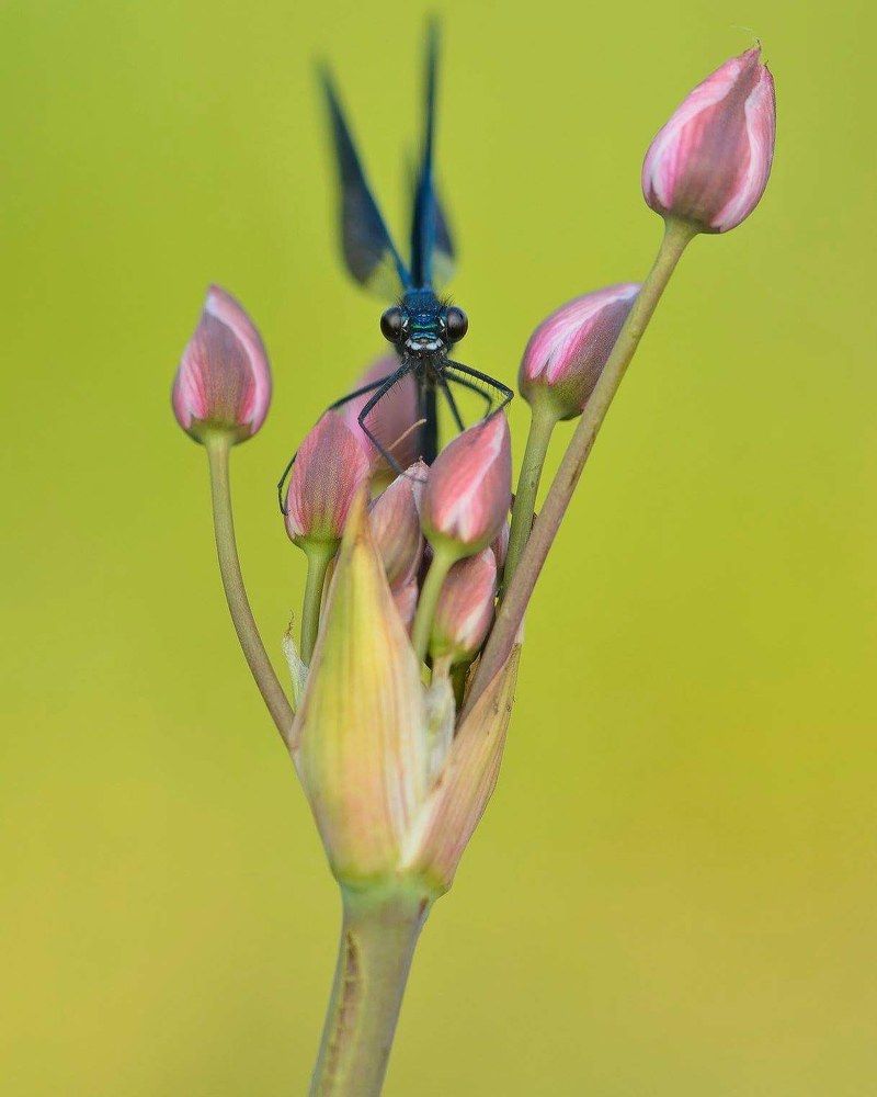 Photograph by ruurd visser