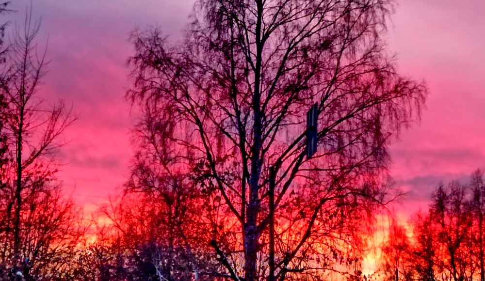 Photograph by НИНА АВЕРЬЯНОВА