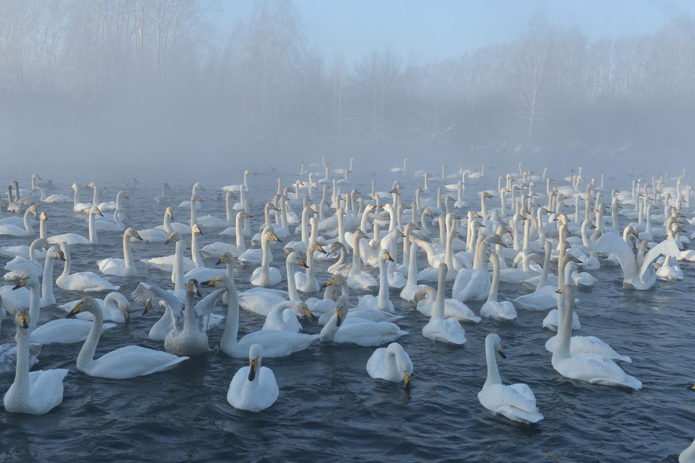 Photograph by Николай Штокало