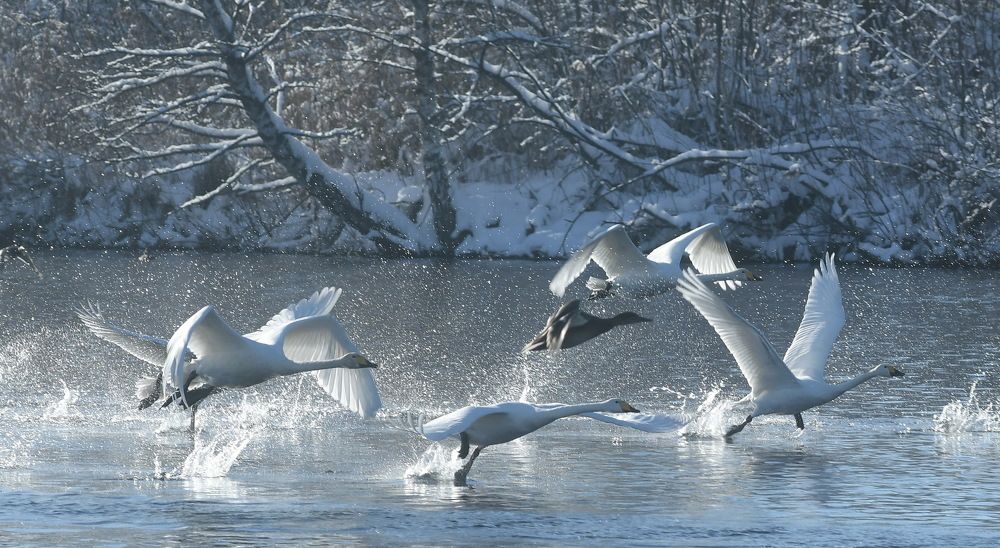 Photograph by Николай Штокало