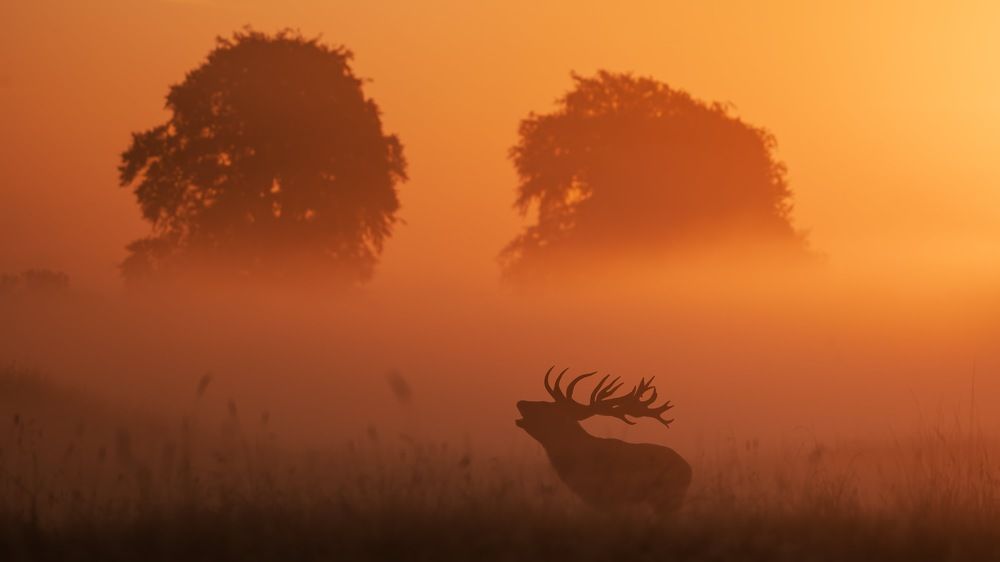 Фотография автора Lukas Andersen