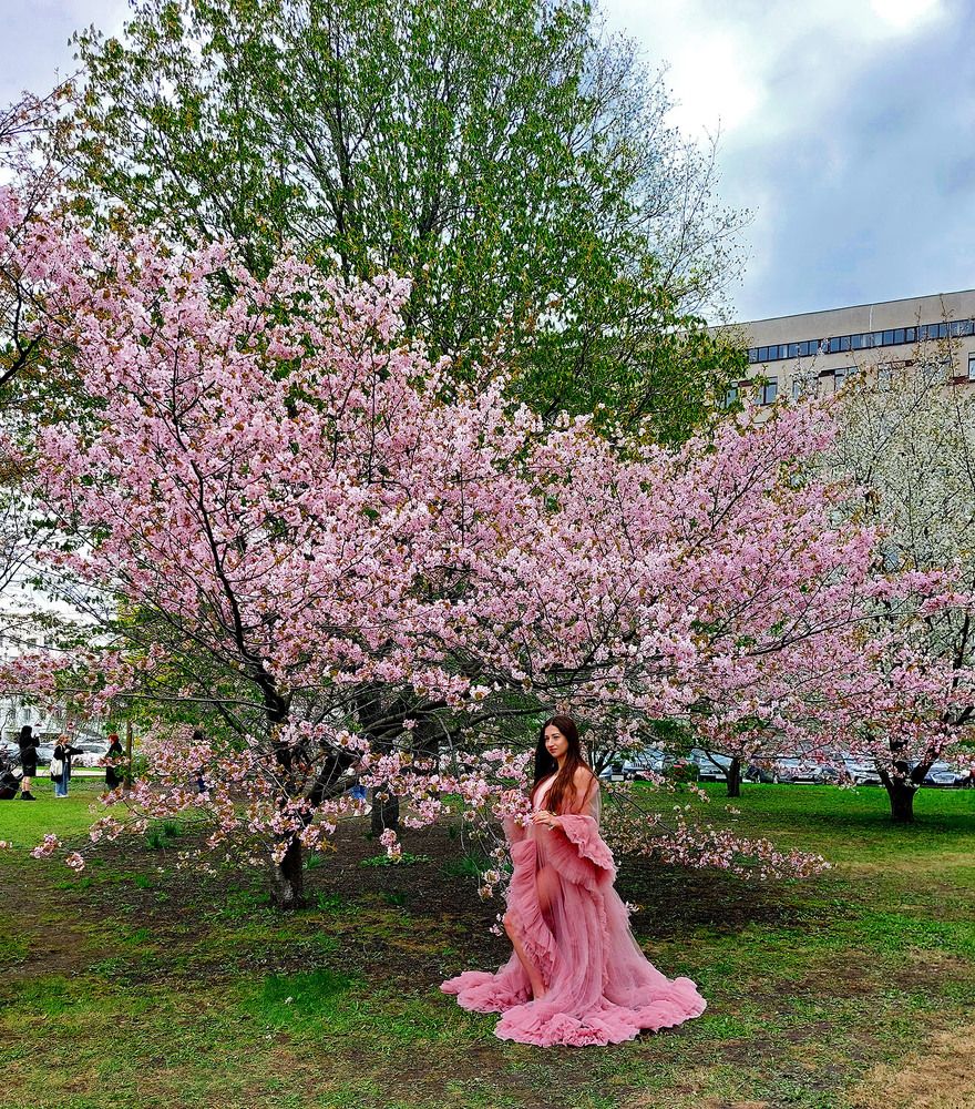 Photograph by Шкарупа Тамара