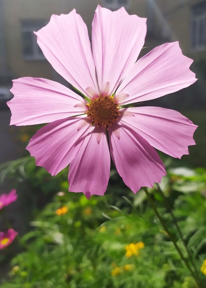 Photograph by Olga Kot