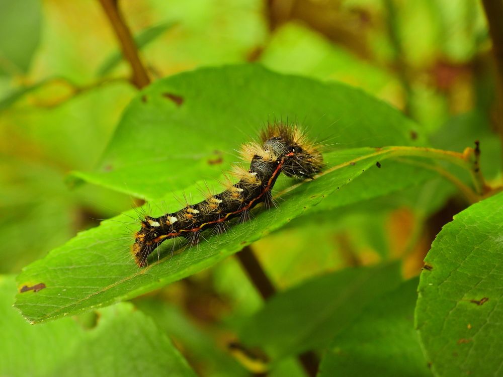 Photograph by Дмитрий Юдин
