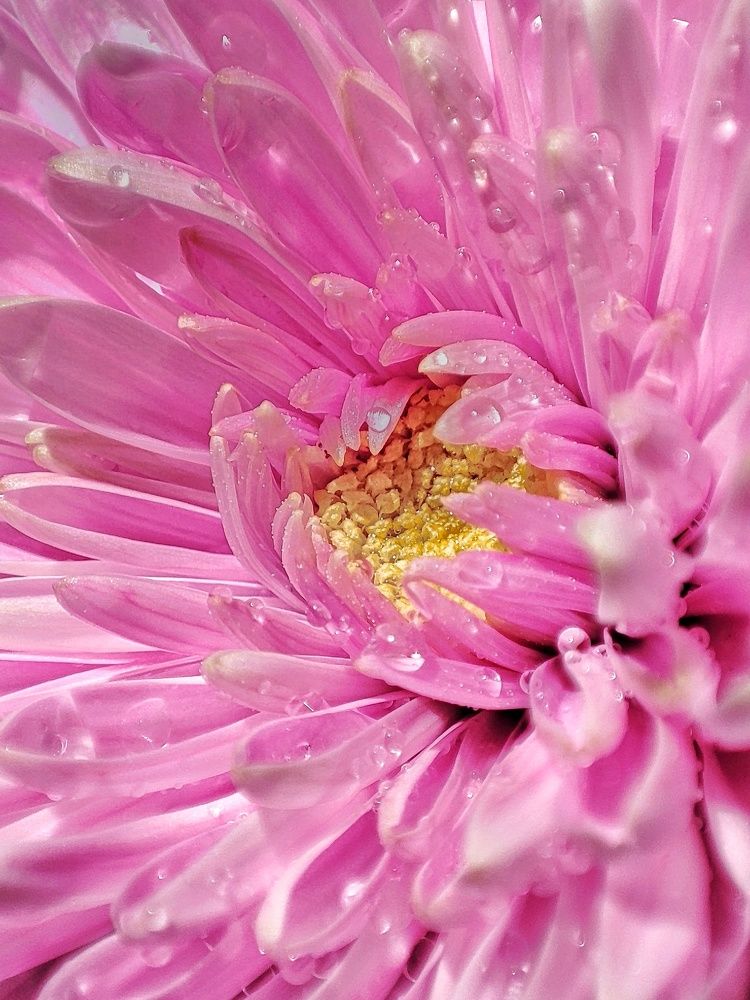 Photograph by Дина Желанова