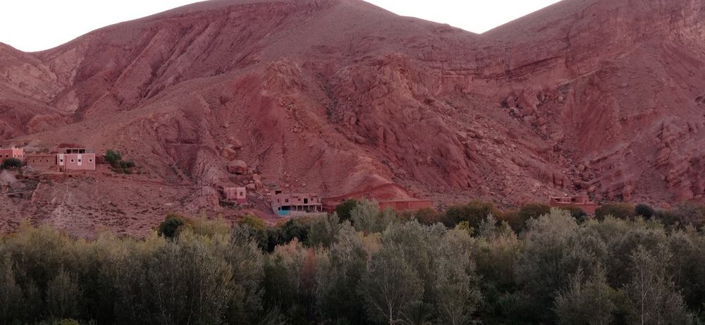 Photograph by Лариса Неудачина