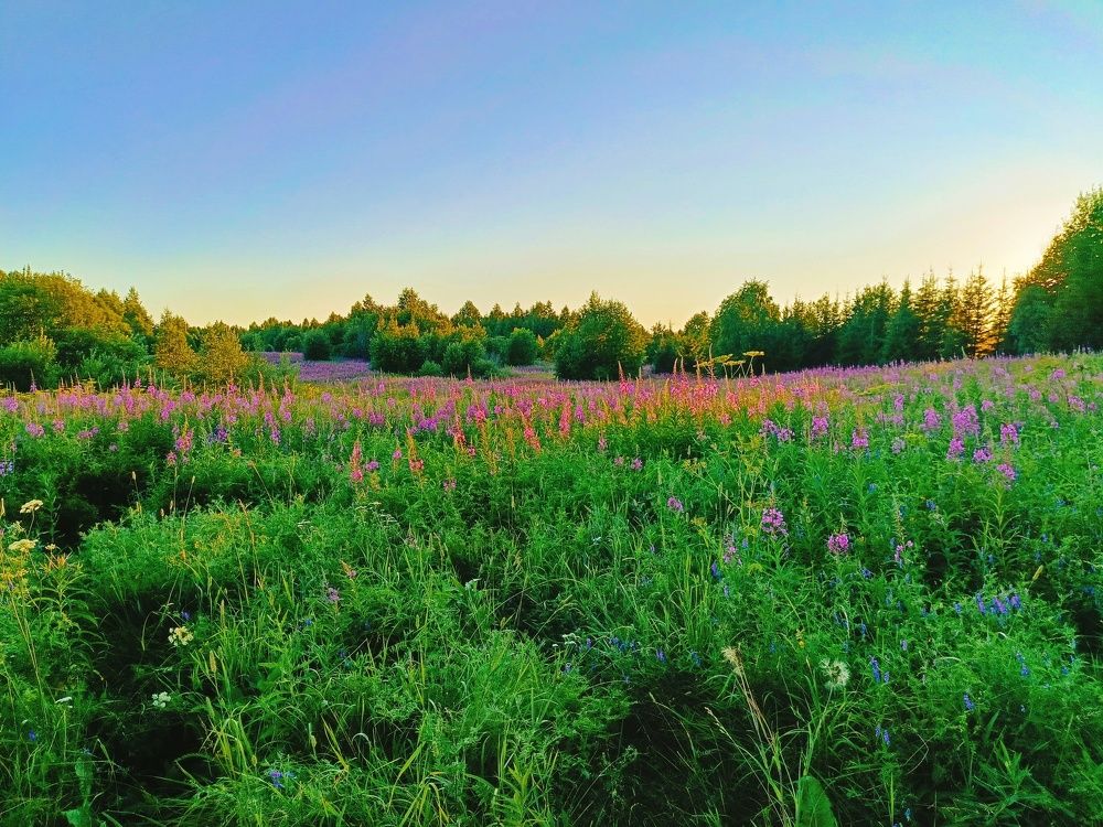 Photograph by Татьяна Бешенкина