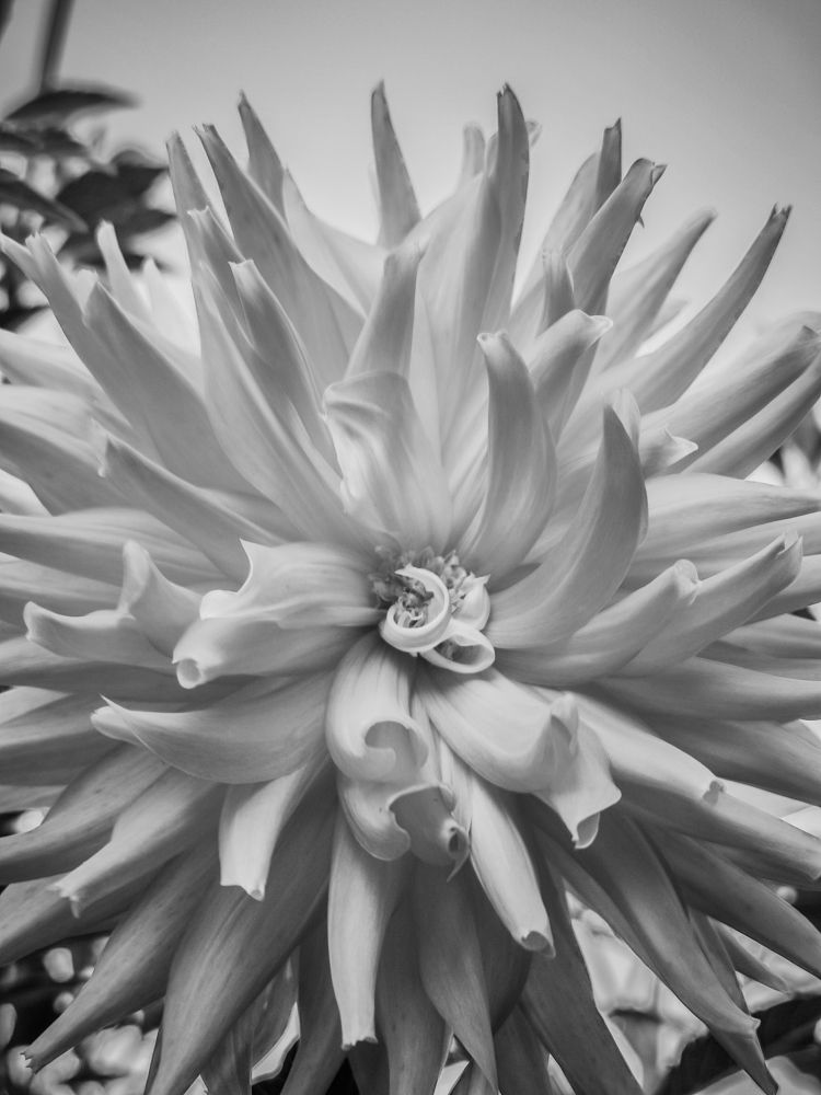 Photograph by Кристина Полякова