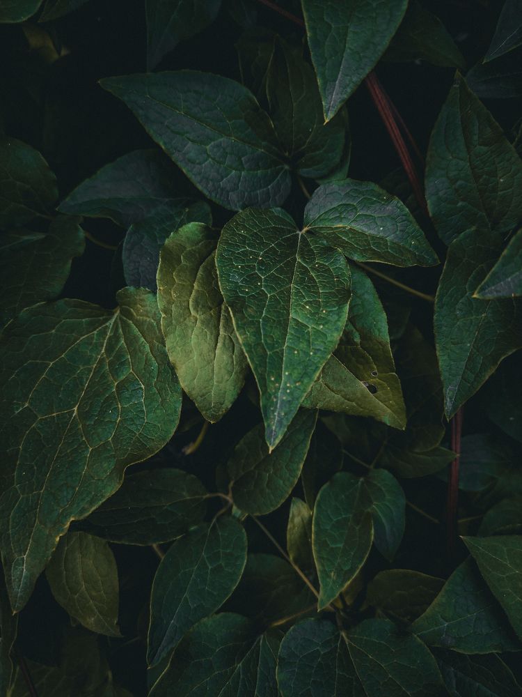 Photograph by Кристина Полякова