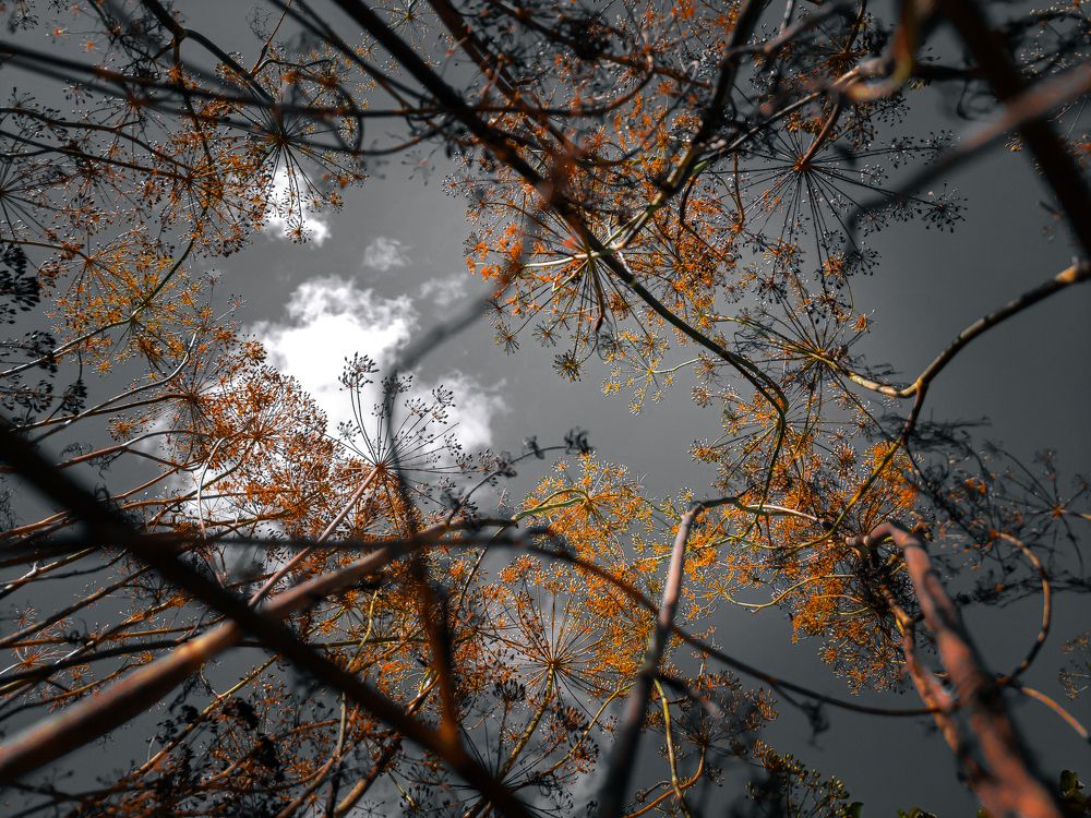 Photograph by Кристина Полякова