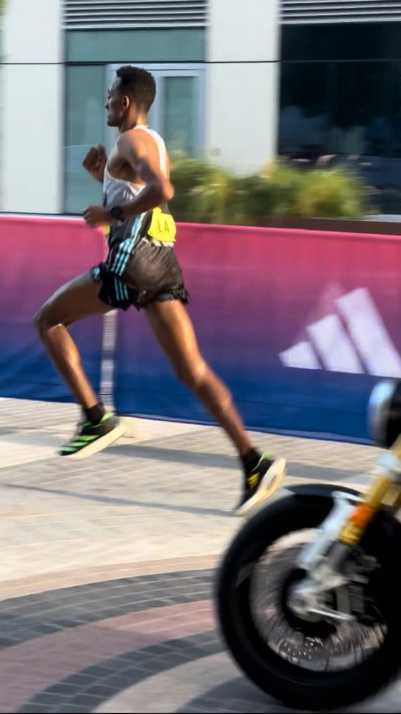 Photograph by Светлана Ионова