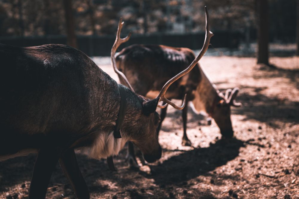 Photograph by Chen Chen