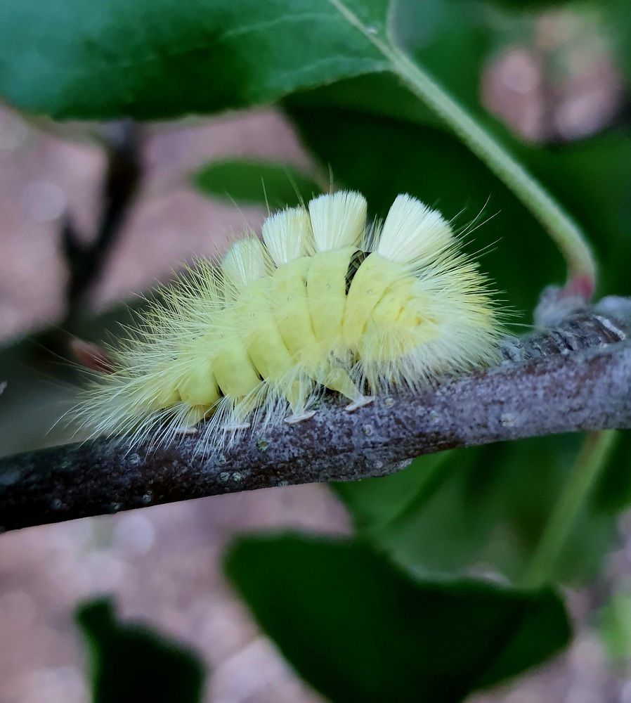Photograph by Виктория Образцова