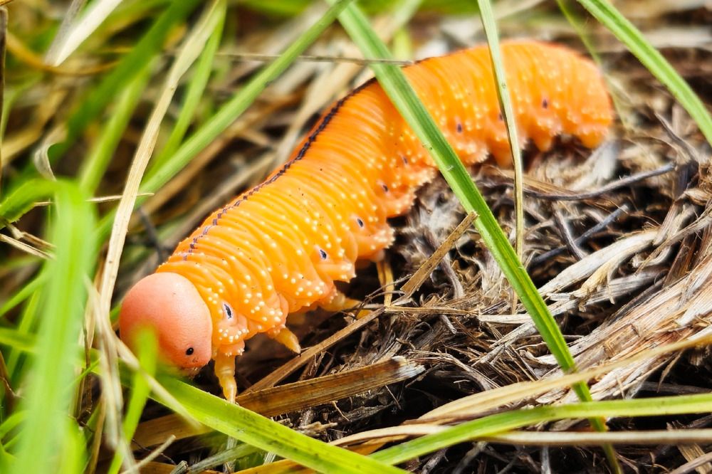 Photograph by Алина Эбель