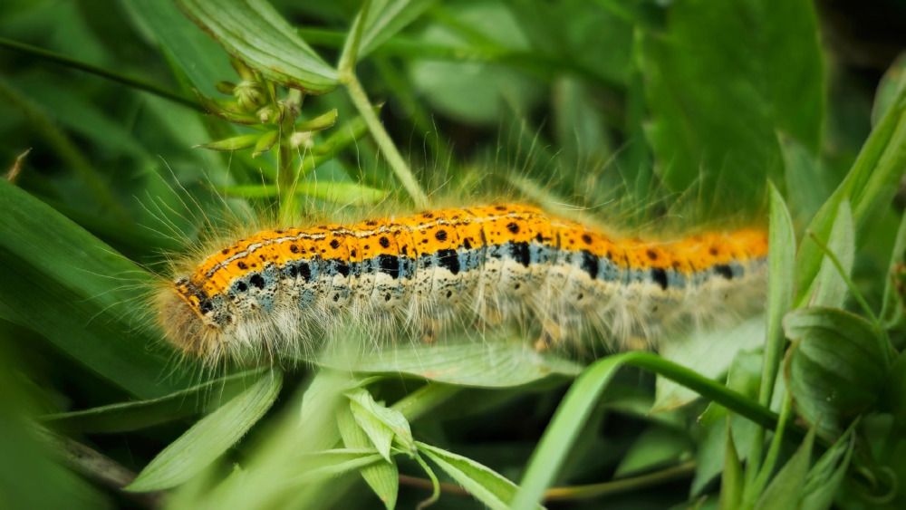 Photograph by Алина Эбель