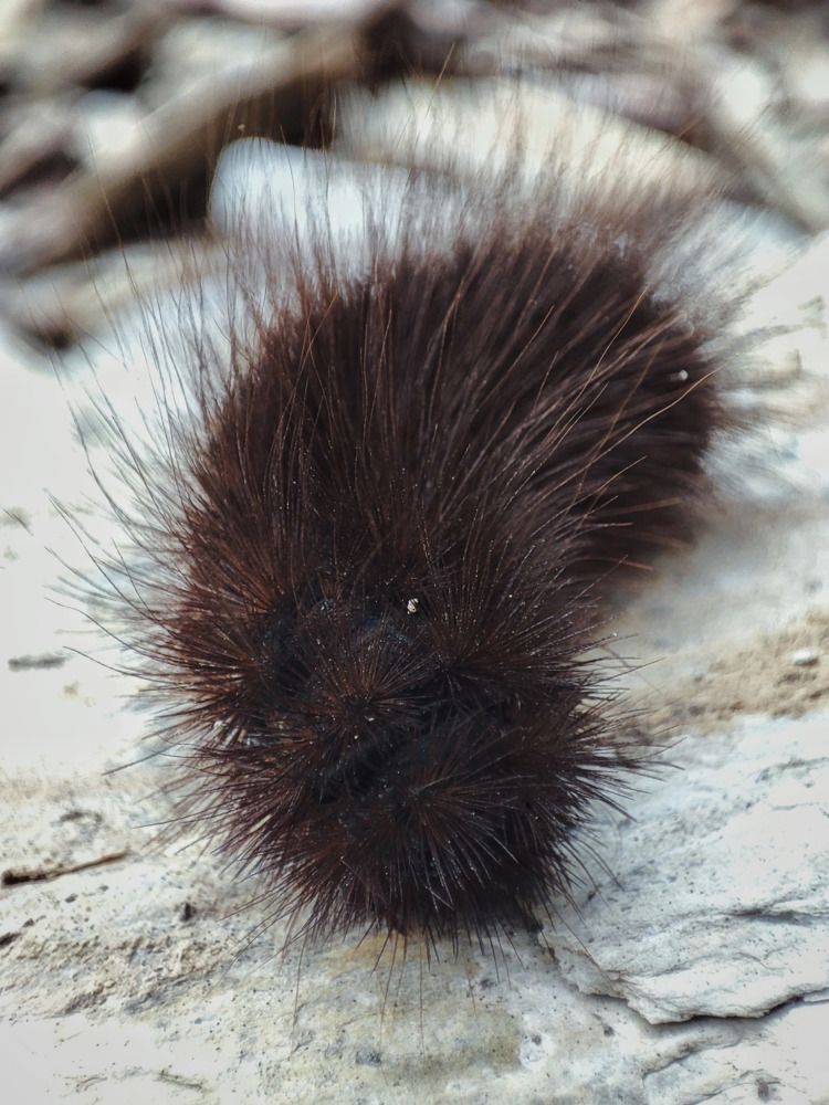 Photograph by Алина Эбель