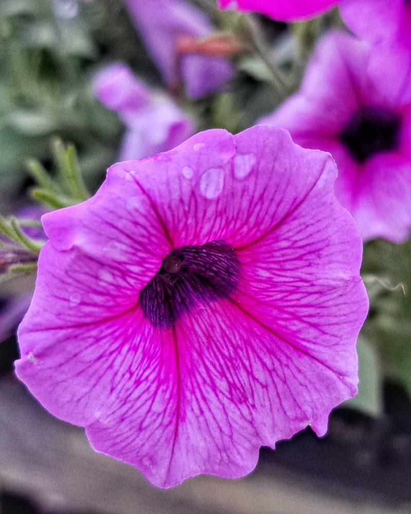 Photograph by Оксана Юдина