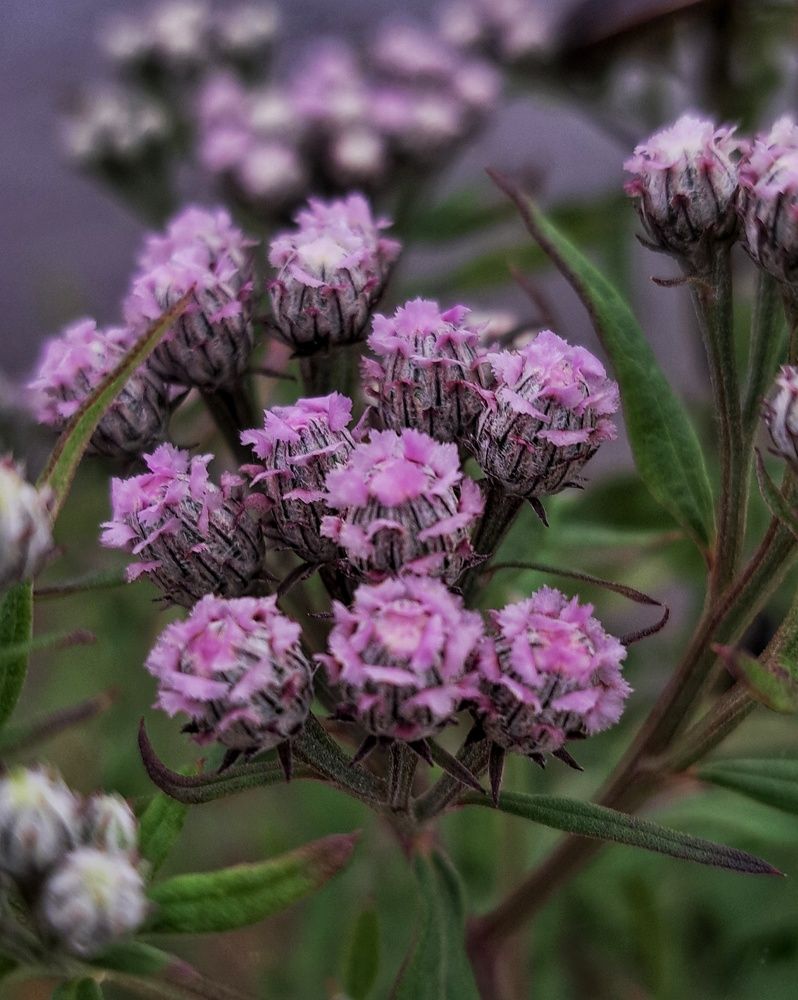 Photograph by Оксана Юдина