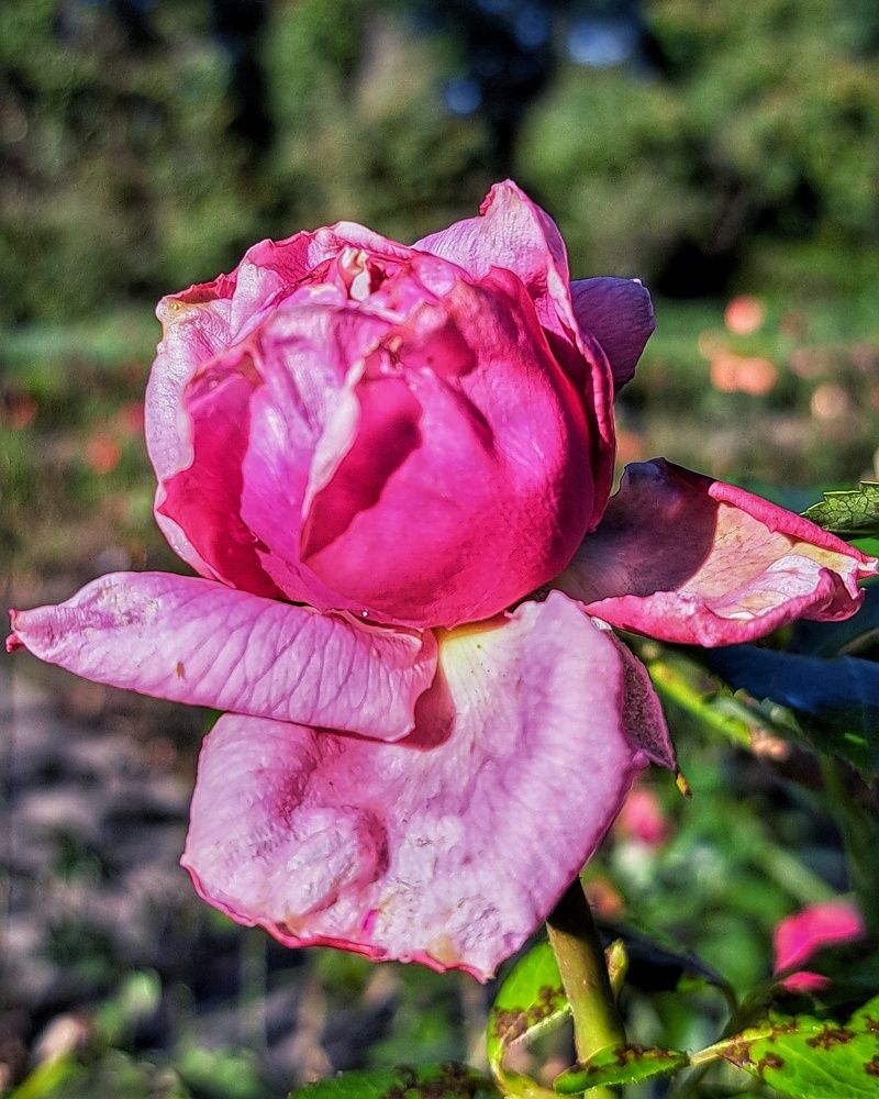 Photograph by Оксана Юдина