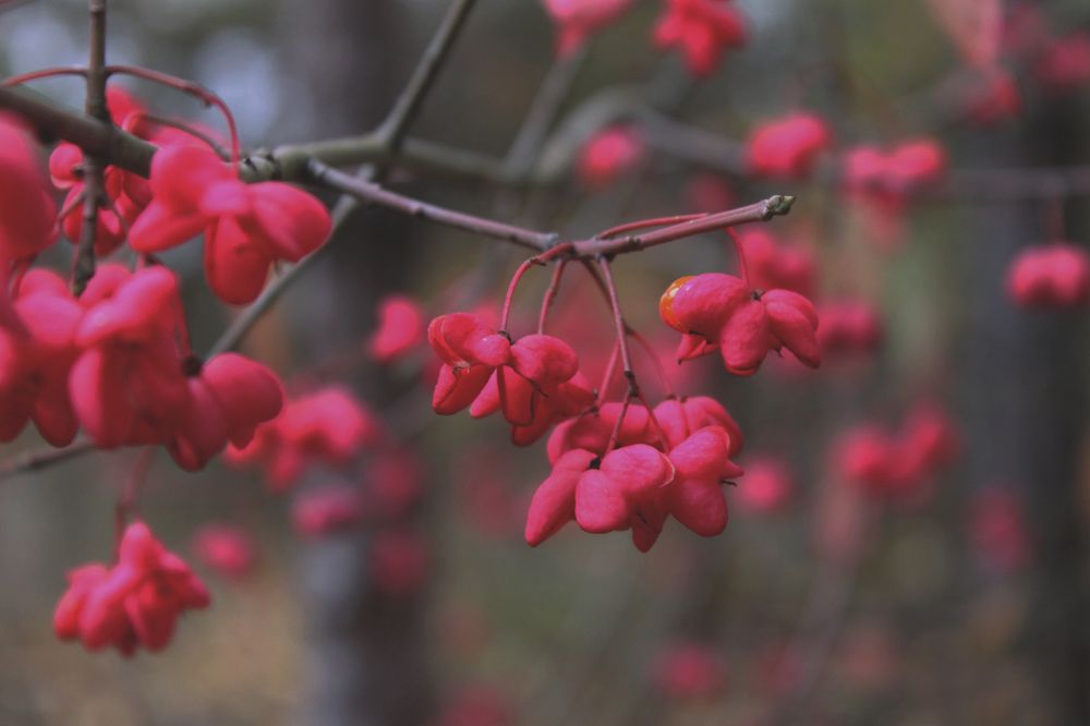 Photograph by Екатерина Кузнецова