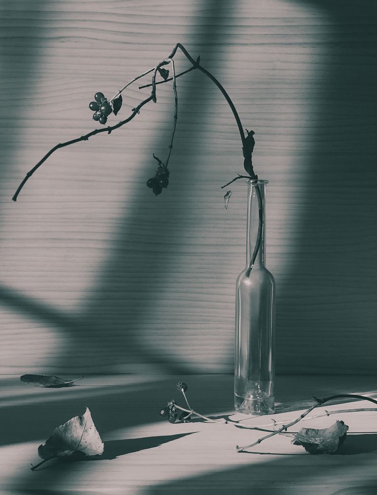 Фотография автора Наталия