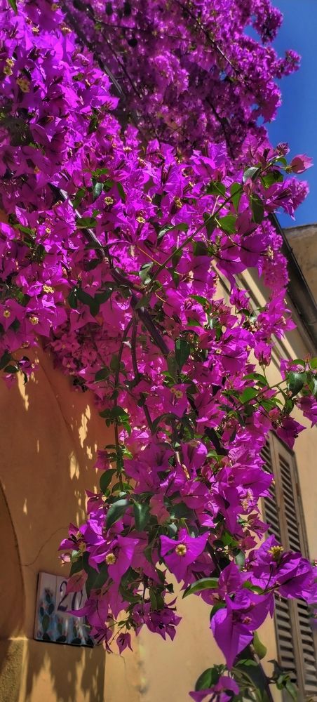 Photograph by Елена Егорова