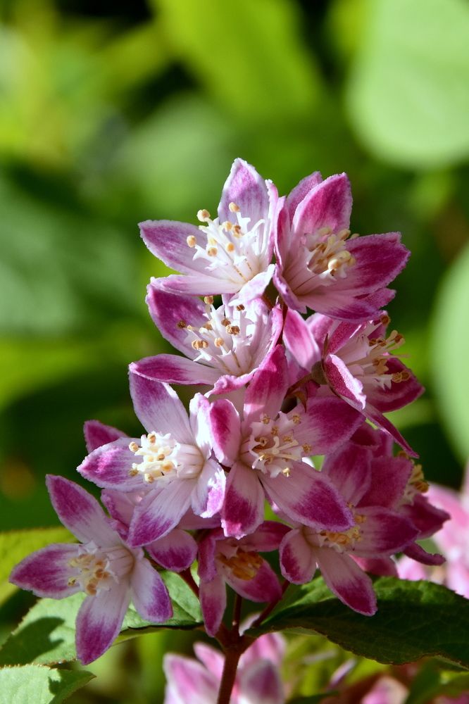 Photograph by Dimon Grinih