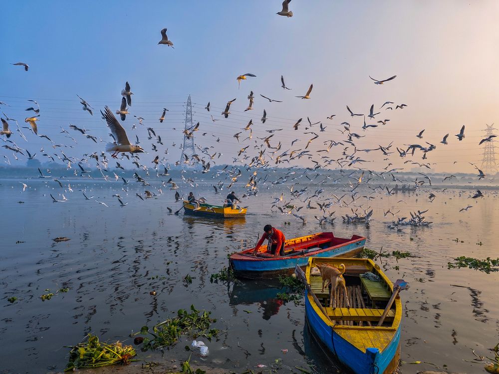 Photograph by HARSHIT MISHRA