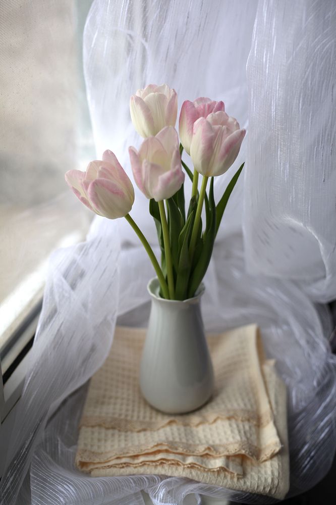 Photograph by Снежанна Родионова