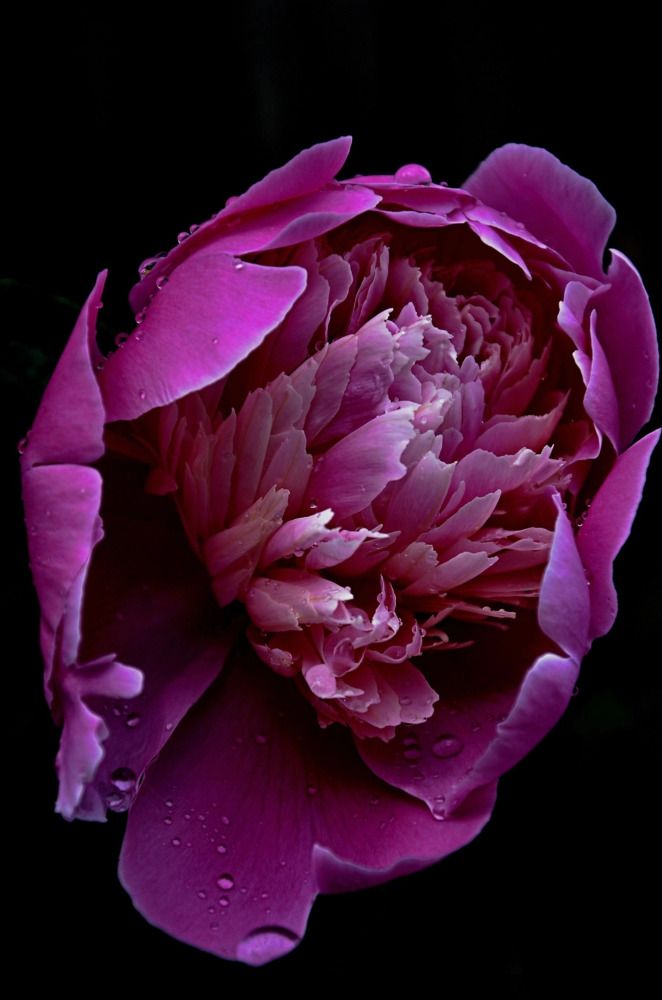 Photograph by Зыкова Мария