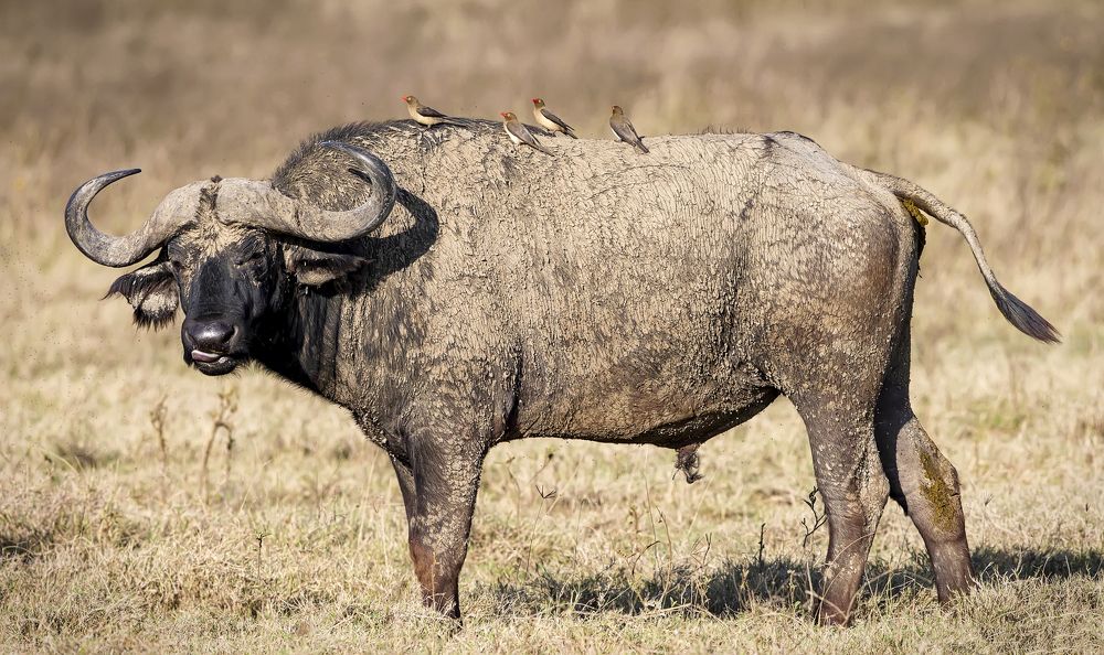 Photograph by Claudia Daniels