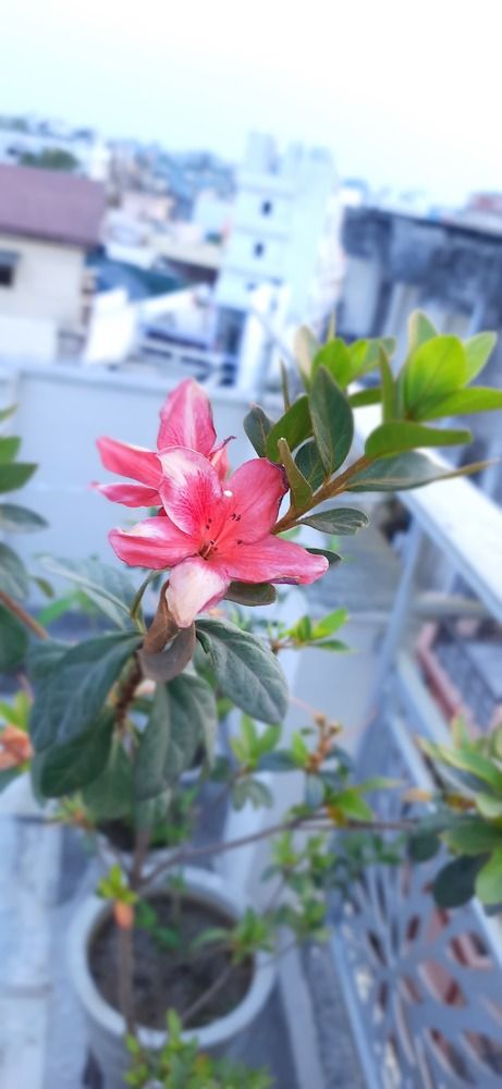 Photograph by Khushi Vashisth