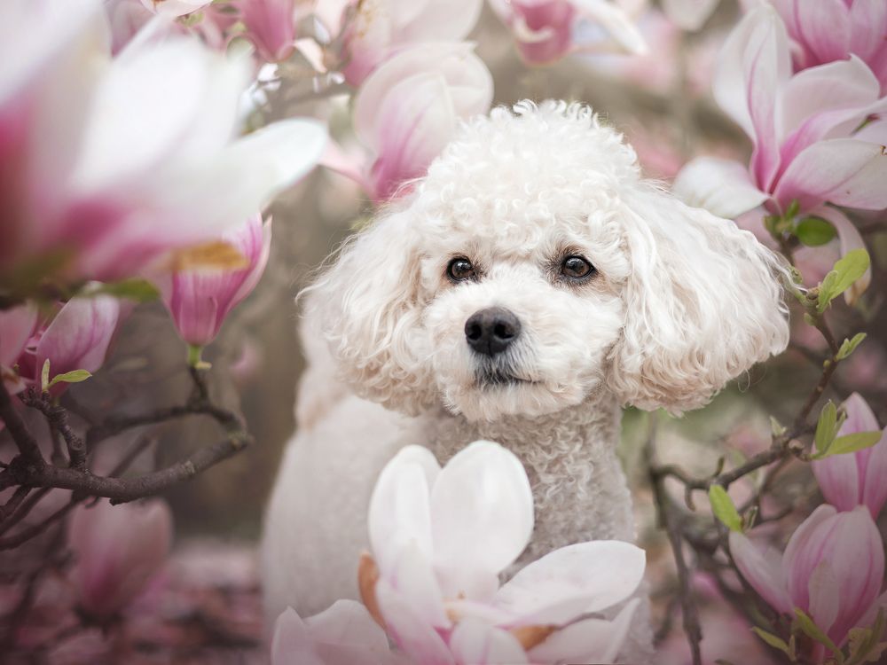 Photograph by Dorota Hnatová