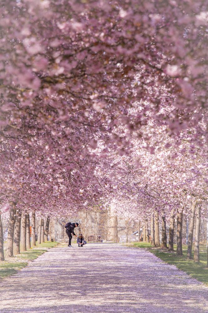 Photograph by Claudio Ciardi