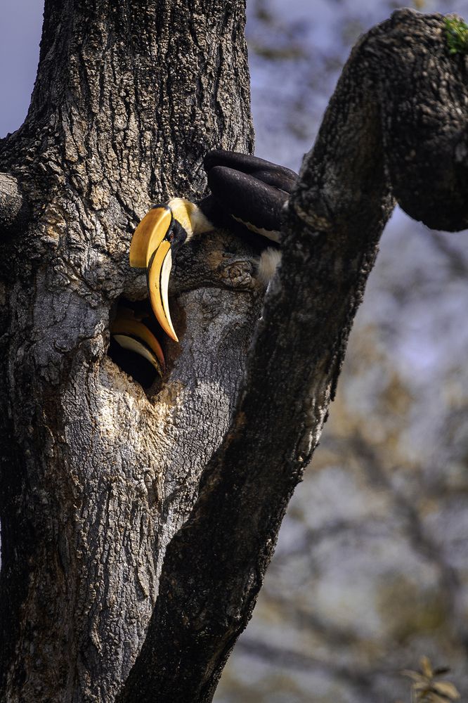 Photograph by Shishir Kumar Jain