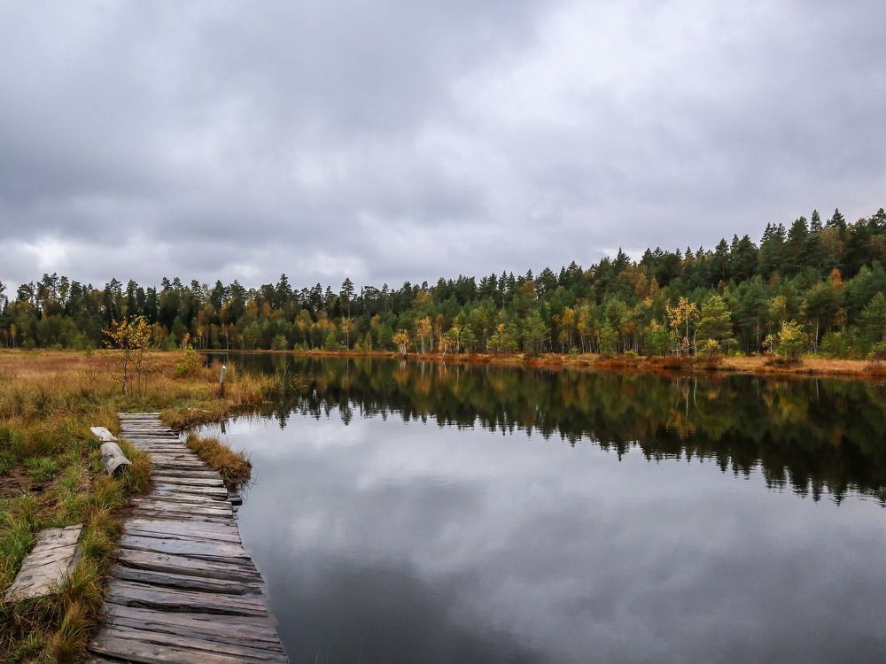 Photograph by Ирина Корабельникова