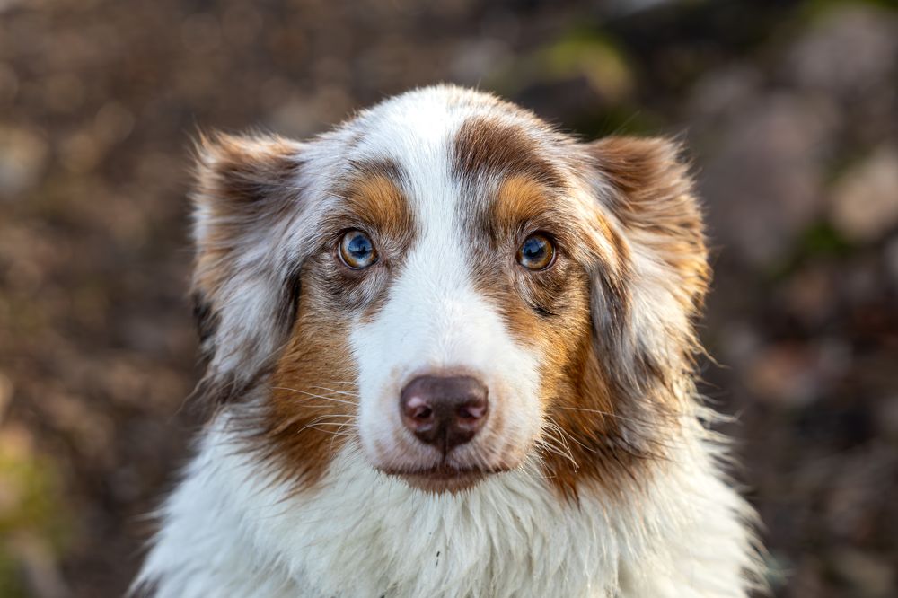 Photograph by Дарья