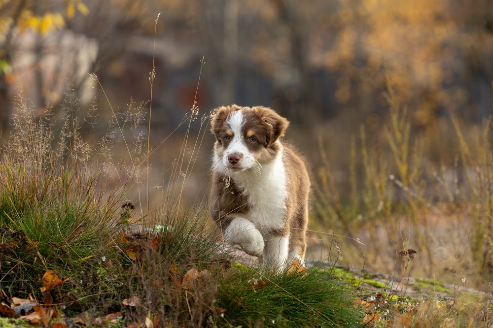 Photograph by Дарья