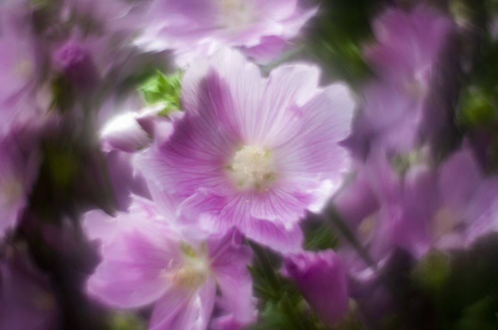 Фотография автора Олег Анатольевич Загорулько