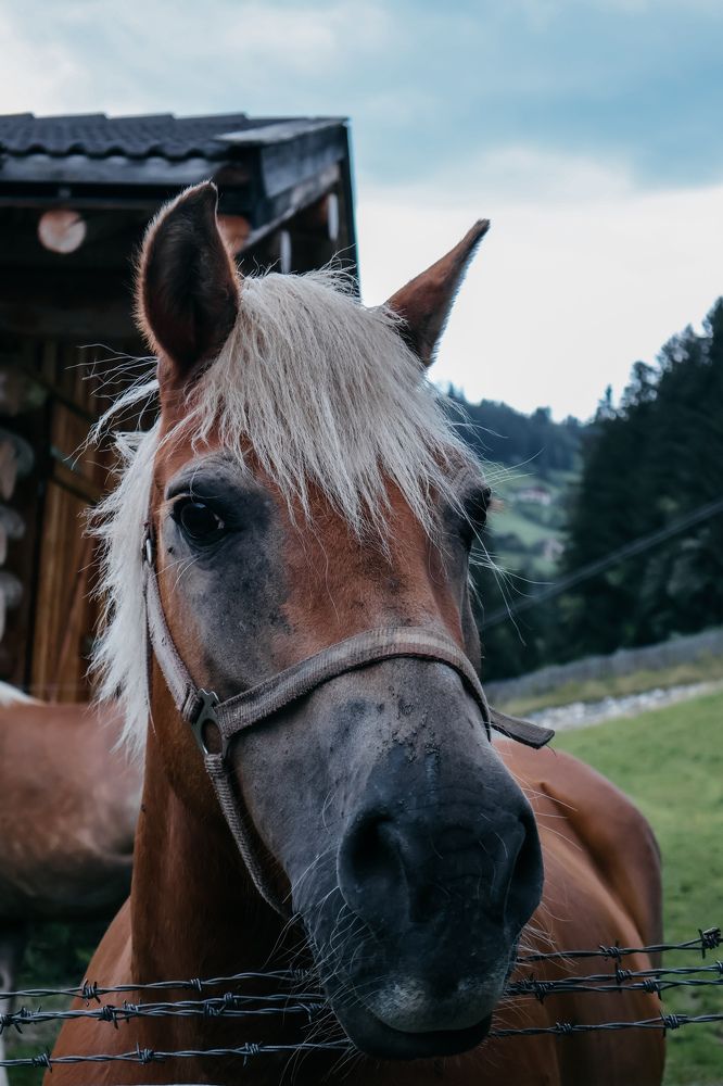 Photograph by Марк Заславець