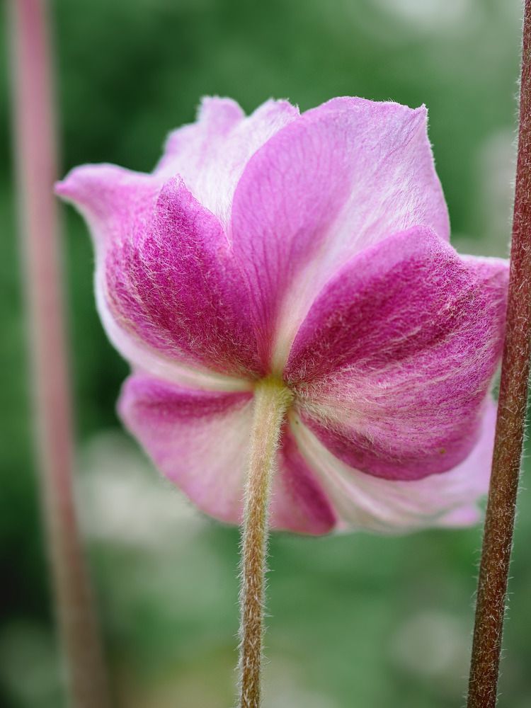 Photograph by Дмитрий Поварков