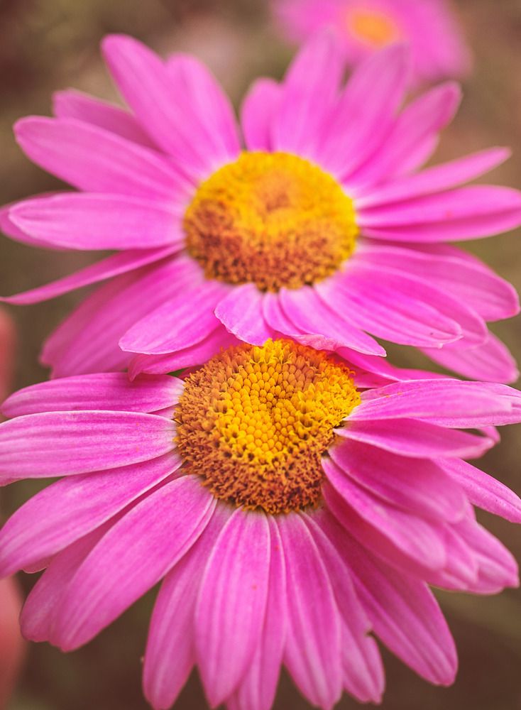 Photograph by Дмитрий Поварков