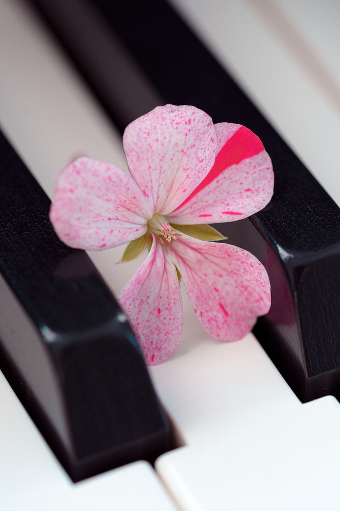 Photograph by Дмитрий Поварков