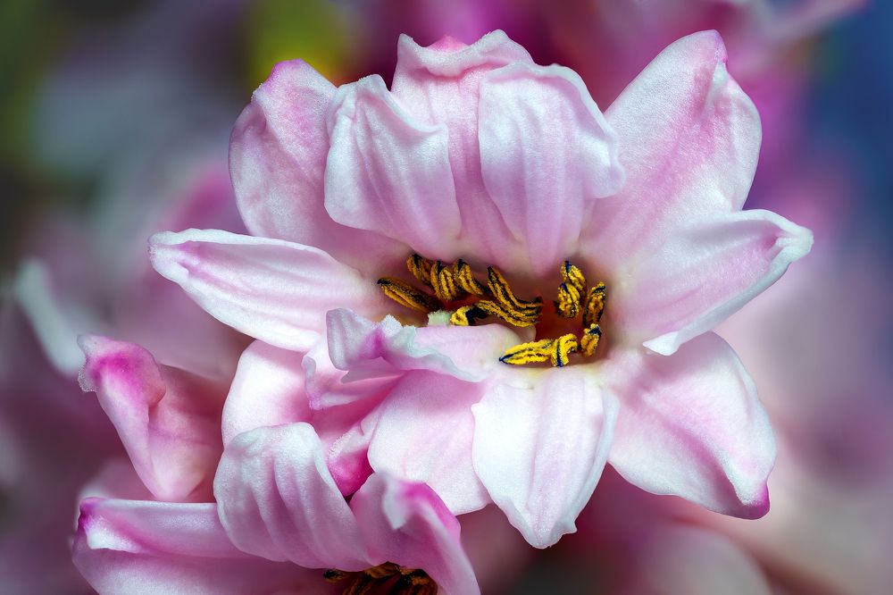 Photograph by Дмитрий Поварков