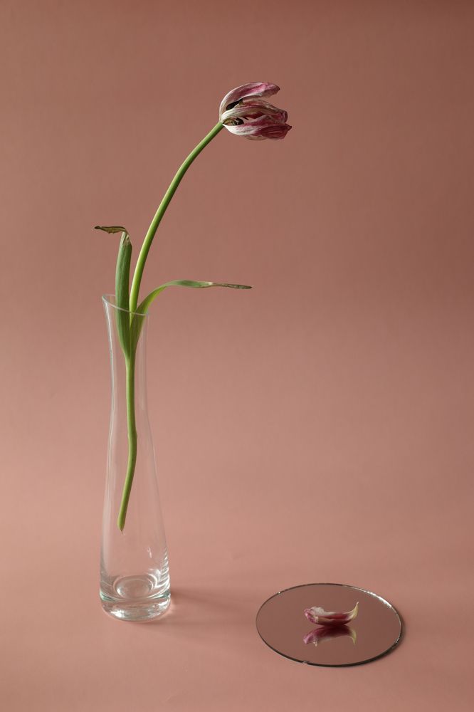 Фотография автора Эльвира Лубенец