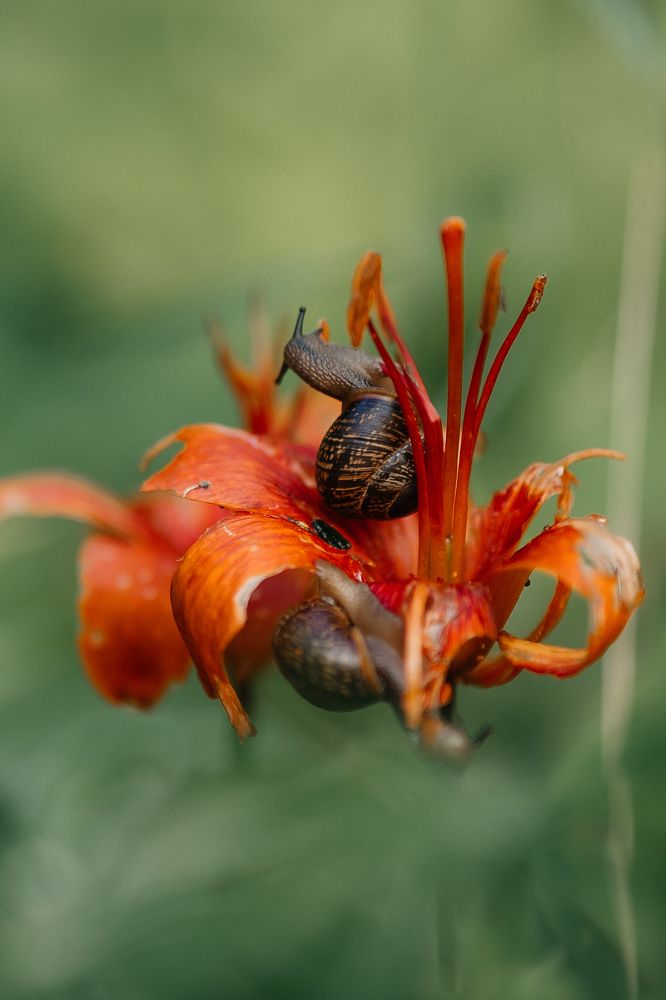 Photograph by Алёна Губинская
